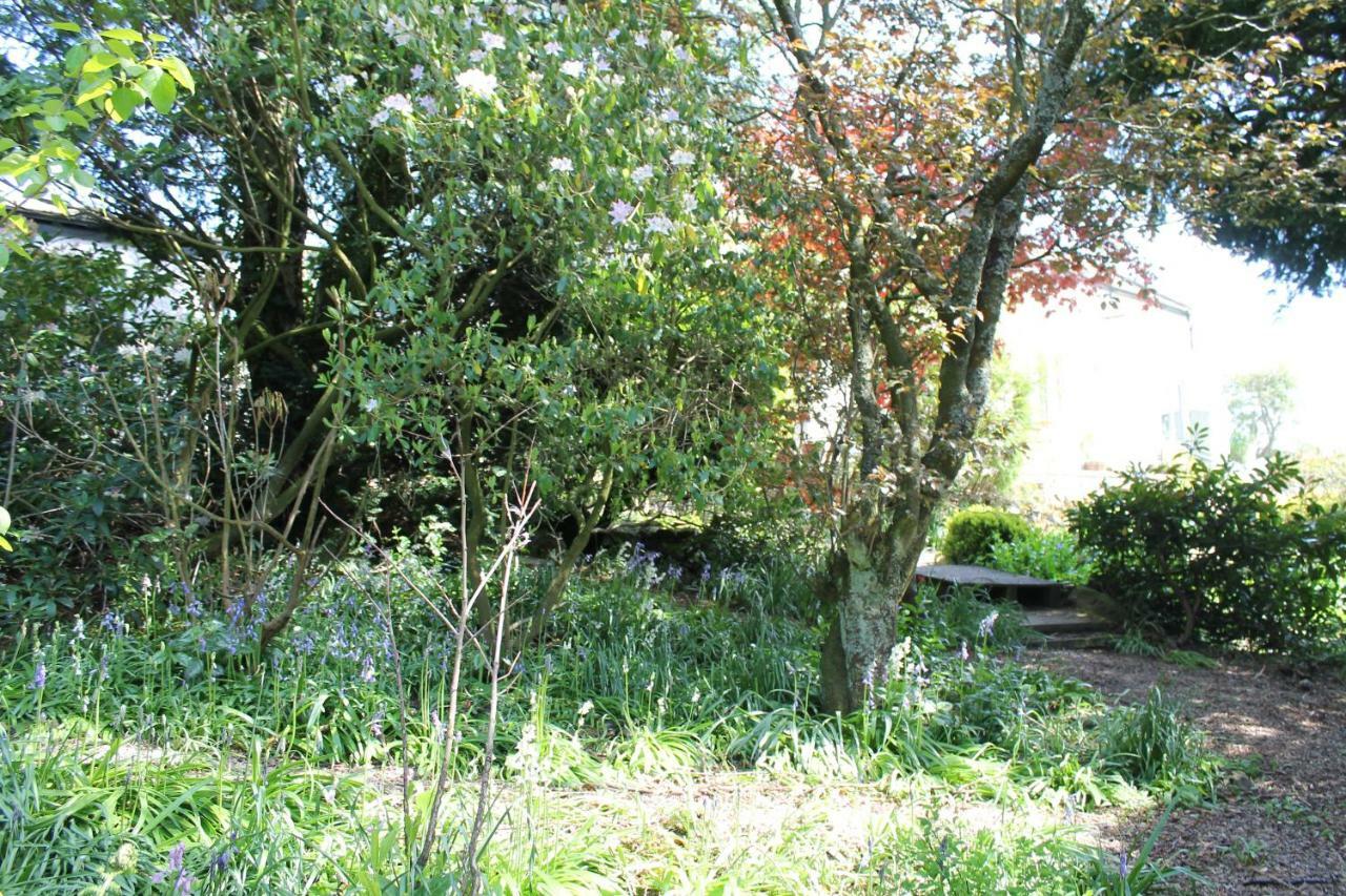 The Quirky Quarry Bed & Breakfast Middleton in Teesdale Exterior photo